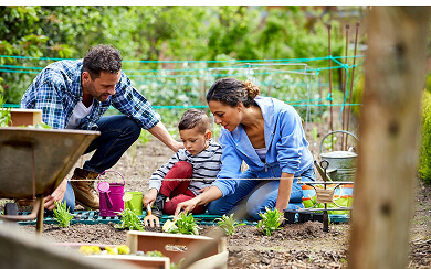 Weed Control Services Bengaluru