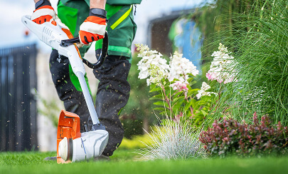 Mosquito Control Services Bengaluru
