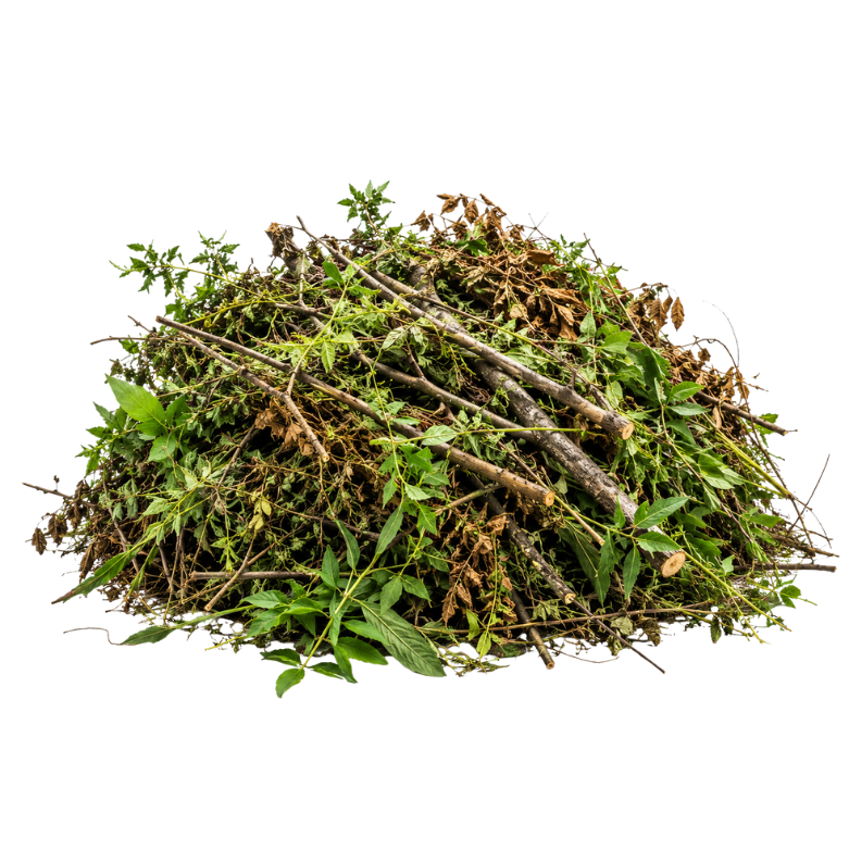 Weed Control