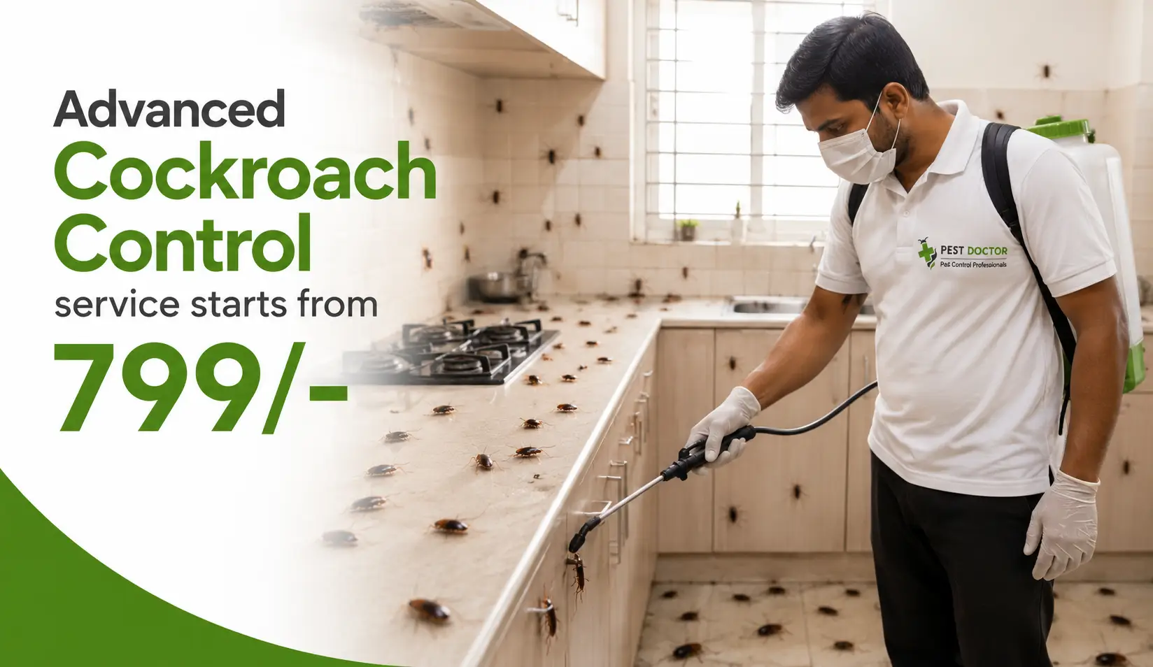 Professional pest control service in Bengaluru
